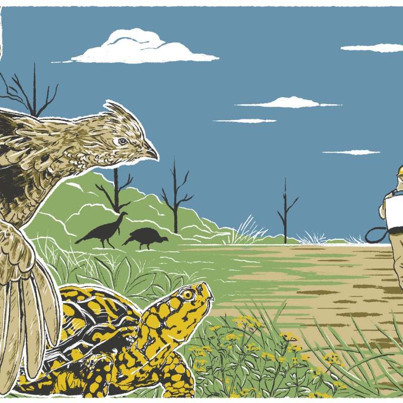 The prescription for Michigan: More&nbsp;fire